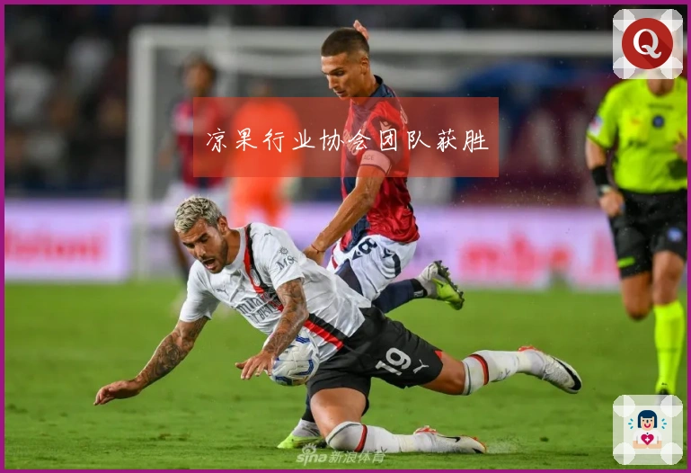 凉果行业协会团队获胜
