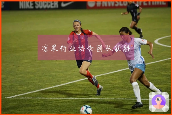 凉果行业协会团队获胜